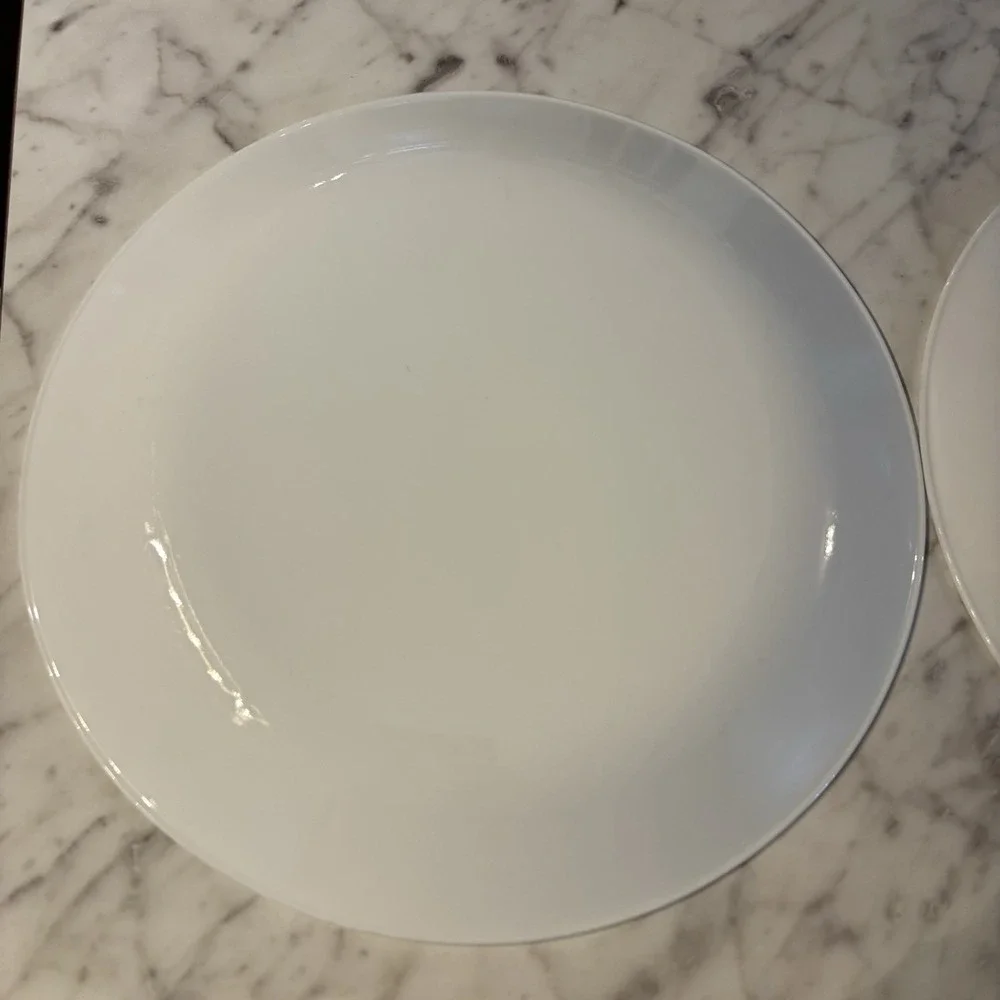Corelle RIBBON BOUQUET Dinner Plates Gray Flowers Floral‎ Band 10.25